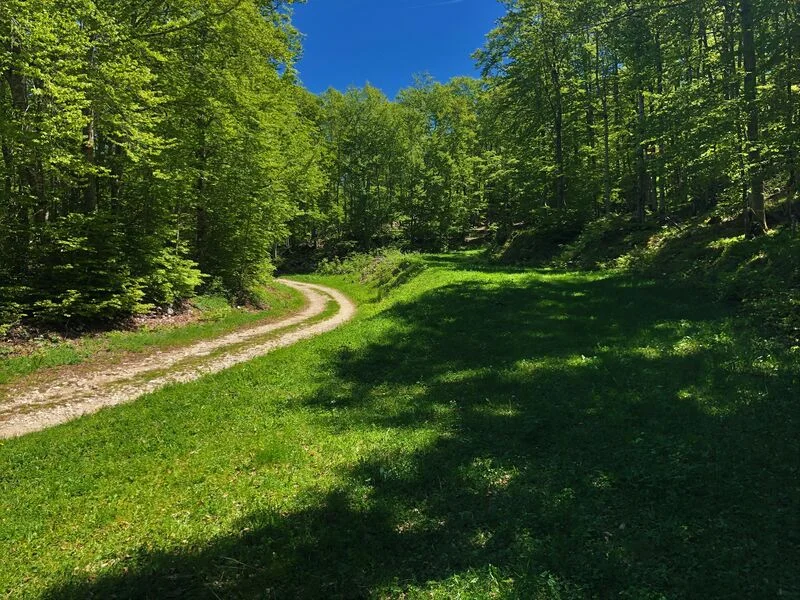 VTT Parcours VTT 13 rouge - Le sud du Plateau de Retord - Espace FFC Ain Forestière · Haut Valromey