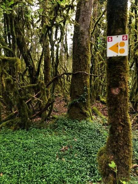 VTT Parcours VTT 6 rouge - Les Enfants du Marais - Espace FFC Ain Forestière · Belley