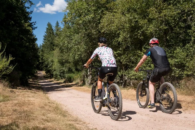 VTT N°5 - la Bernarde · Renaison