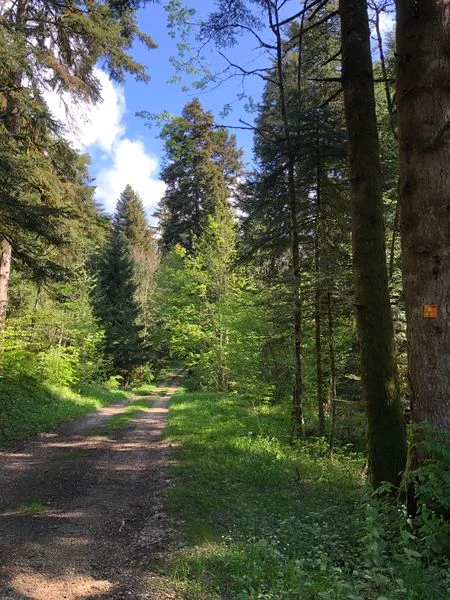 VTT Tour de Pays VTT Bugey - Grand Colombier - Espace FFC Ain Forestière : étape 1 Culoz - La Praille · Culoz