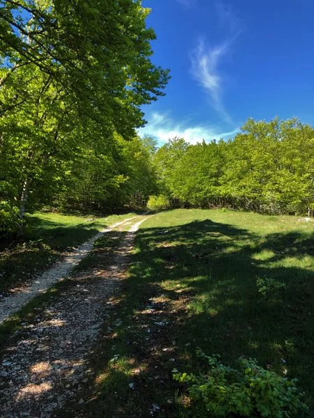 VTT Tour de Pays VTT Bugey - Grand Colombier - Espace FFC Ain Forestière : étape 2 La Praille - Les Plans d'Hotonnes · Plateau d'Hauteville