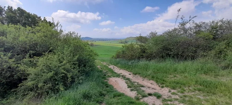 VTT Circuit VTT Pays d'Issoire côté Livradois - Etape 2 · Le Vernet-Chaméane