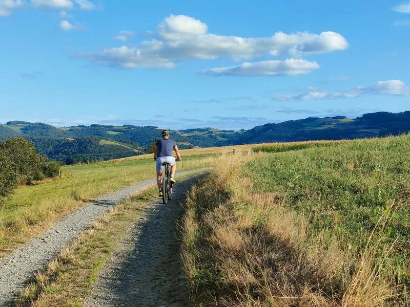 VTT Circuit VTT 112 - La voie romaine · Brussieu