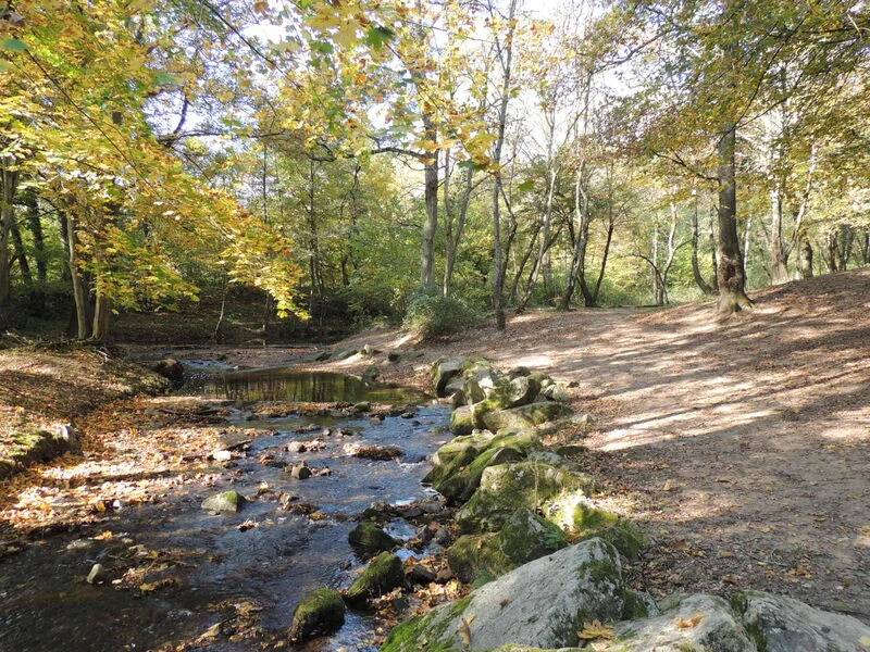 VTT Circuit VTT 200 - Le Garon · Brignais