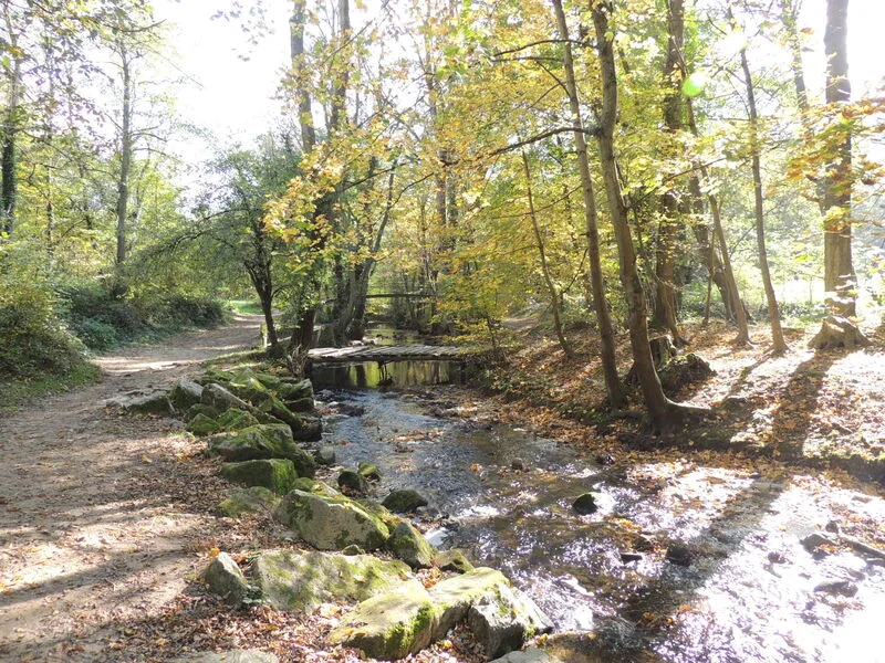 VTT Circuit VTT 212 -La Vallée en Barret · Chaponost