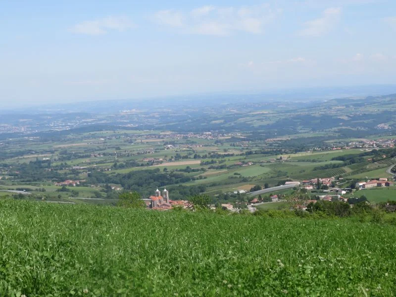 VTT Circuit VTT 160  - Les Coteaux de Chabanière · Mornant