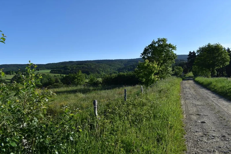 VTT Circuit VTT n°33 : Le Ruisseau de Lafont - Ruynes en Margeride · Ruynes-en-Margeride