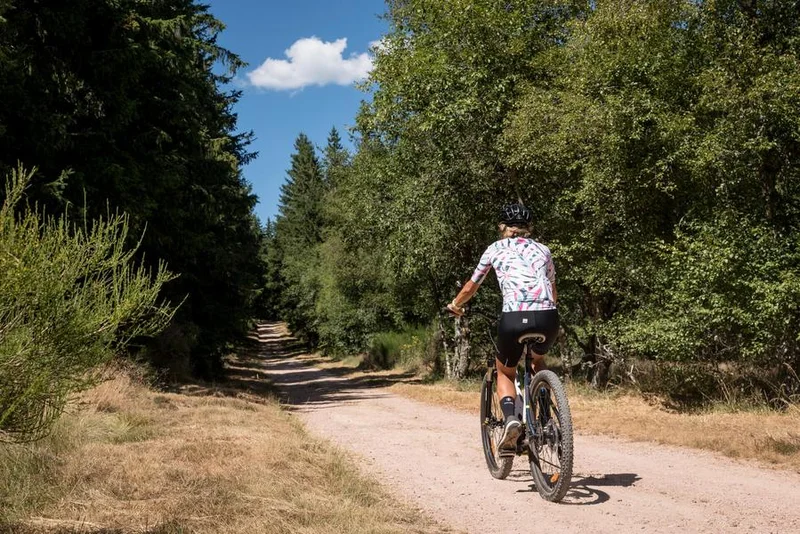 VTT N°6 - les Barrages · Renaison