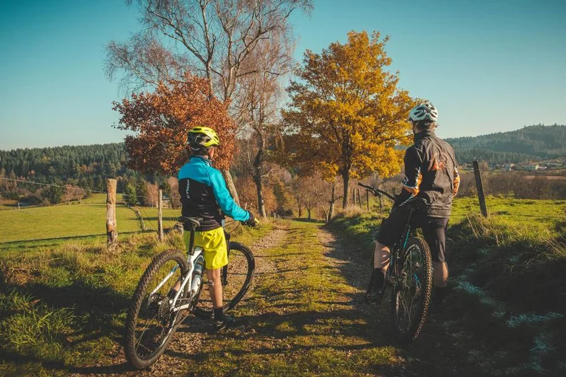 VTT N°13 - du Gamay à la Côte · Renaison