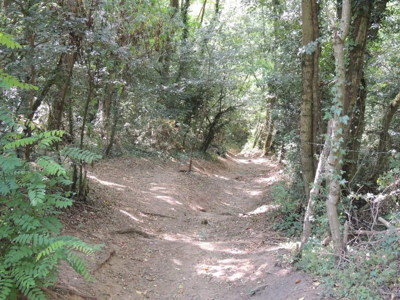 VTT Circuit VTT 202 - Les Lapins · Brignais