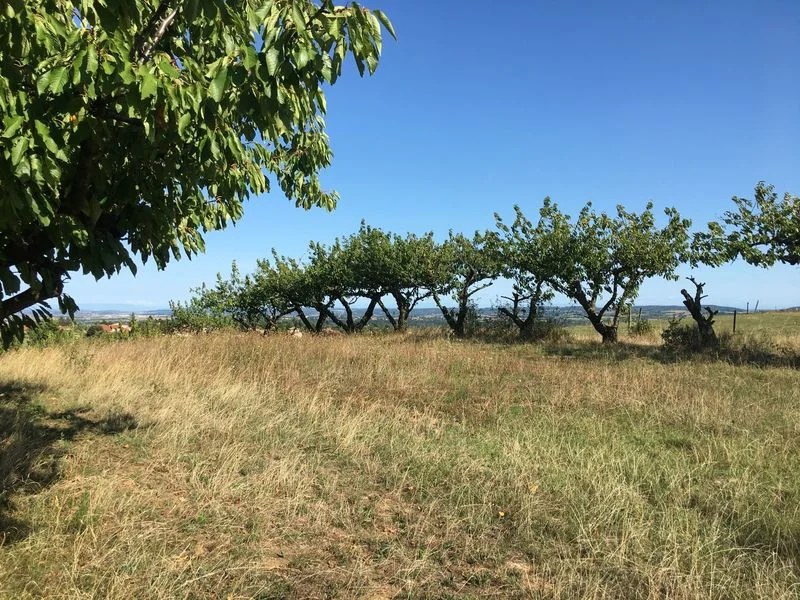 VTT Circuit VTT 240 - Maison Forte · Vourles