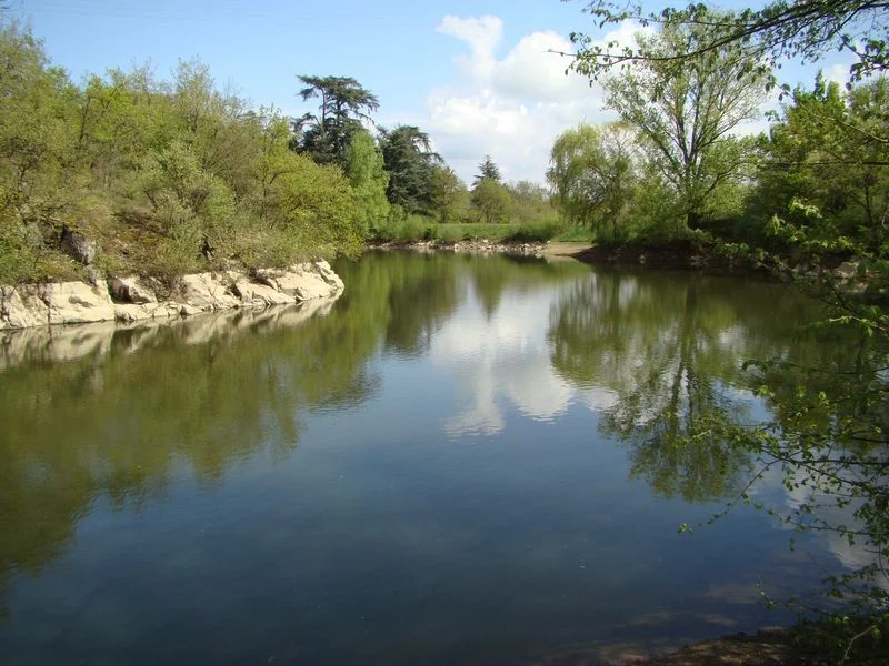 VTT Circuit VTT 157 - Les landes entre vignes, vergers et combes · Mornant