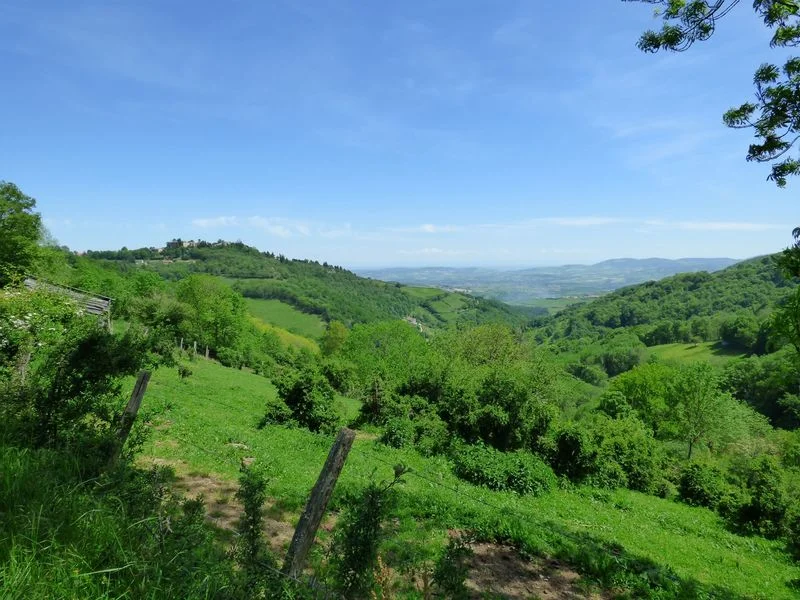 VTT Circuit VTT 170  - Le Grand Tour du Pays Mornantais · Mornant