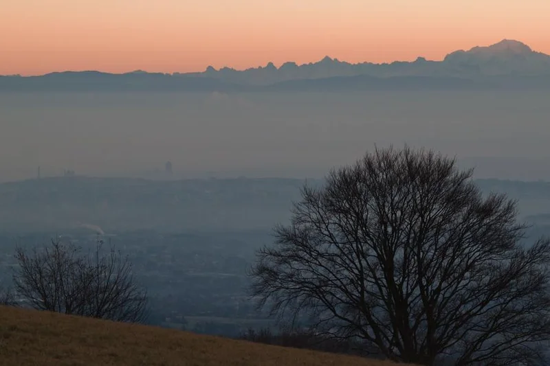 VTT Circuit VTT 66 - Le Panoramique · Courzieu