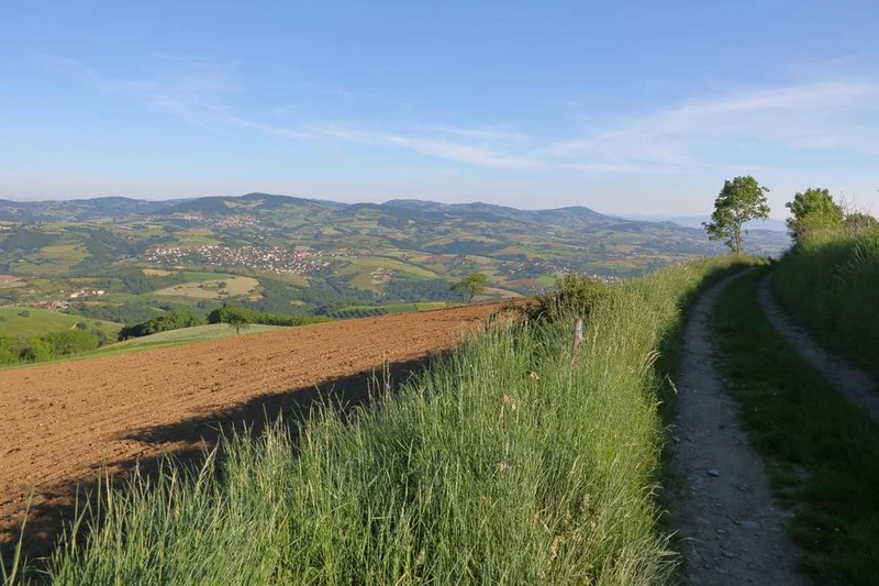 VTT Circuit VTT 67 - La Croix de Pars · Courzieu