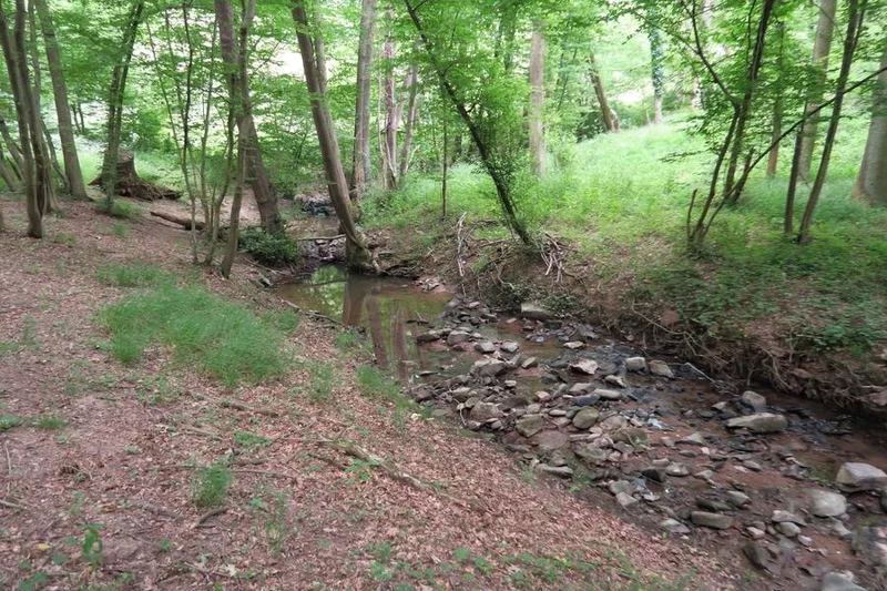 VTT Circuit VTT 59 - La Boucle du Maligneux · Dommartin