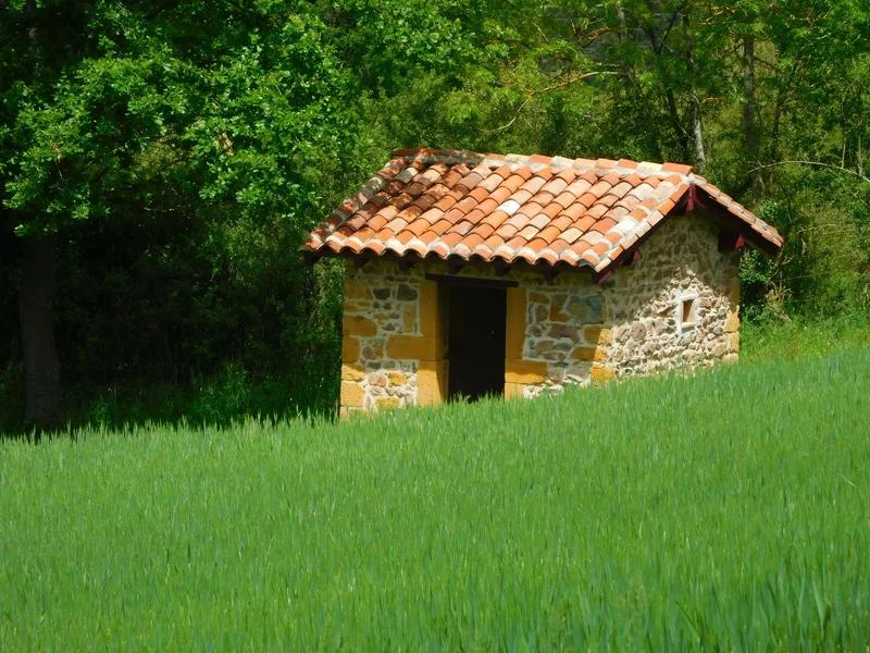 VTT Circuit VTT 56 - La cabane de vigne · Éveux