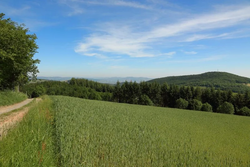 VTT Circuit VTT 73 - Entre Mont Popey et Crêt d'Arjoux · Savigny