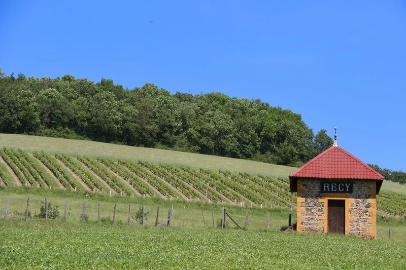 VTT Circuit VTT 75 - Le Cret du Recy · Savigny