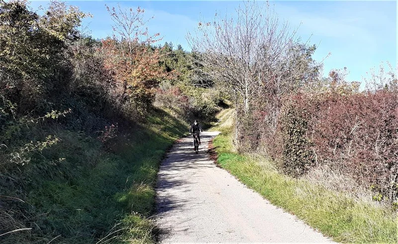 VTT Circuit VTT n°2 - Sur les hauteurs d'Issoire · Issoire