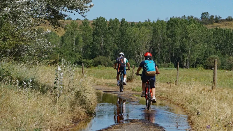 VTT Les rives de l'Allier à VTT · Le Cendre