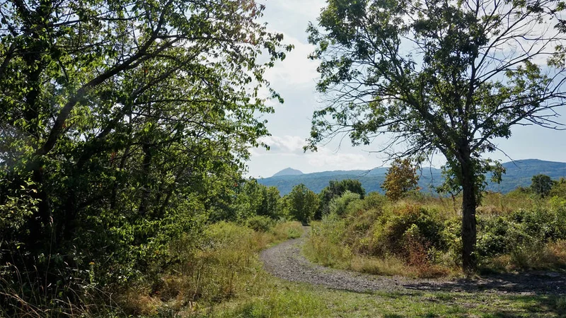 VTT Du plateau de la Bade aux côteaux de Châteaugay à VTT · Blanzat