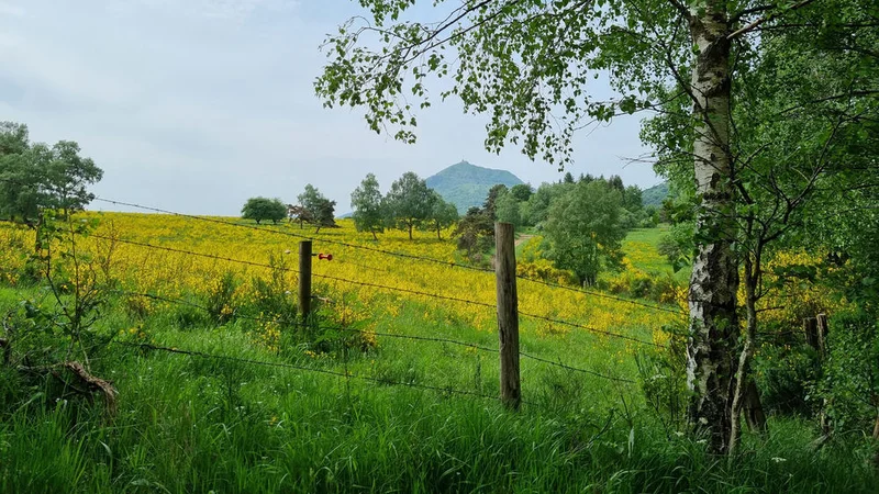 VTT La Croix de Ternant depuis le puy des Goules à VTT · Orcines