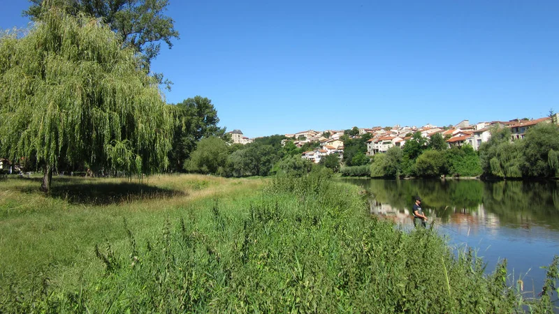 VTT De l’Allier au plateau de Cortal en VTT · Ceyrat
