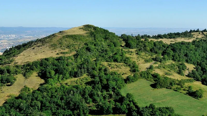 VTT Circuit VTT n°22 – Le Puy St Romain · Mirefleurs