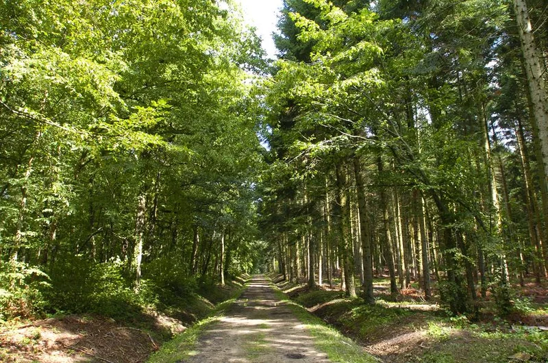 VTT Circuit VTT n°27 – Tour de la Comté · Vic-le-Comte