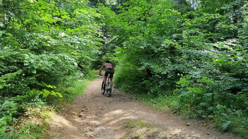VTT Au pied du puy de Mercœur à VTT · Fontfreyde