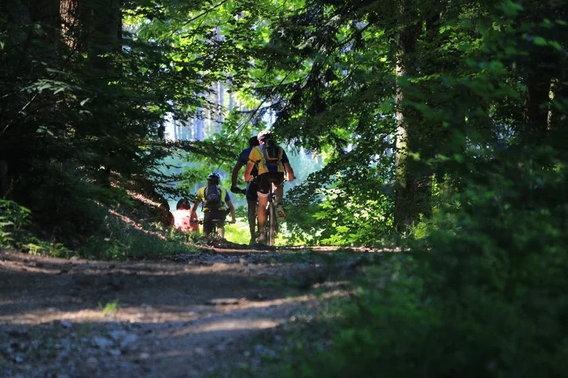 VTT Circuit n°43 - La Croix des Olmes - Espace VTT-FFC Massif des Bois Noirs · Celles-sur-Durolle