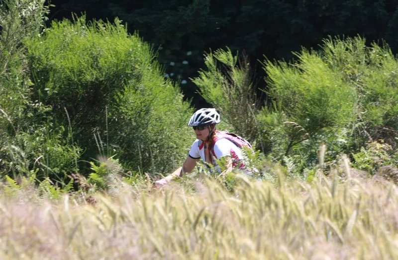 VTT La maison du trésor (circuit n°41) · Noirétable