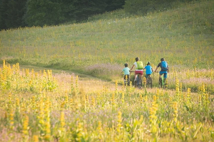 VTT Au fil des Lauzes (Base VTT FFC Autrans-Méaudre en Vercors - Parcours n°2) · Méaudre