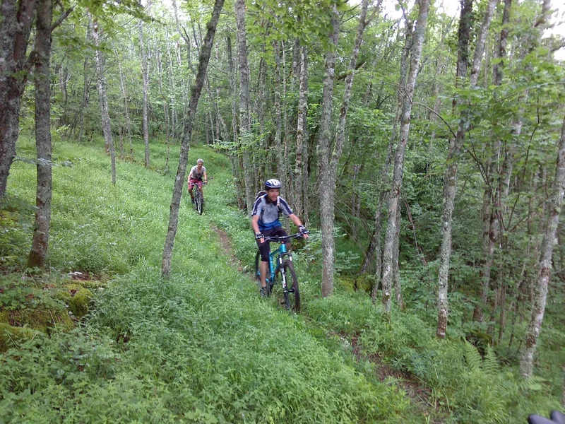 VTT La Goulandière (Vercors Coulmes-Royans n° 20) · Presles