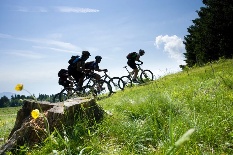 VTT Le Bois de la Crose (Base VTT FFC Vercors Trièves - parcours n° 53) · Saint-Andéol