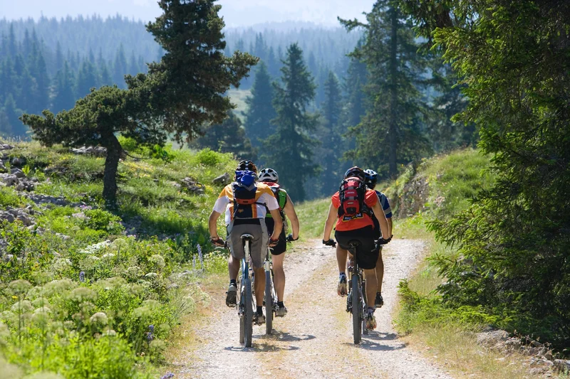 VTT Le Clariant (Villard - Corrençon n°47) · Villard-de-Lans