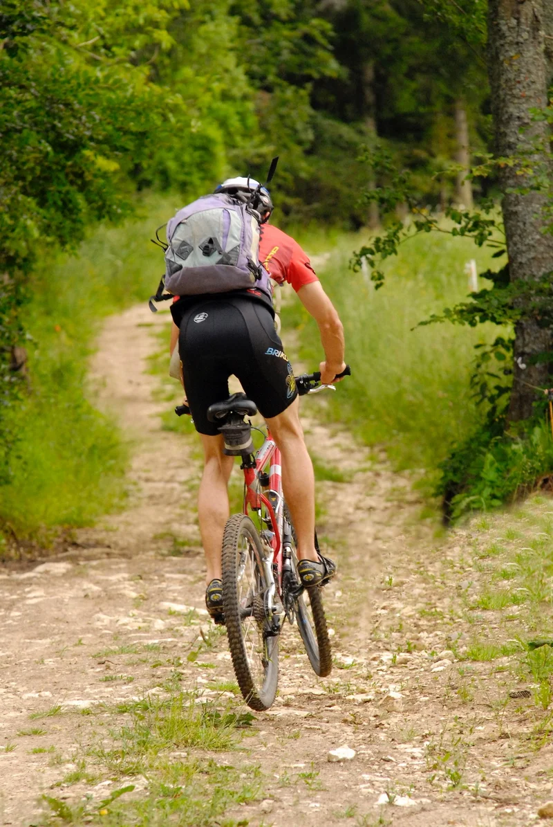 VTT Les Croisettes - La forêt des Coulmes (Coulmes-Royans n°19) · Malleval-en-Vercors