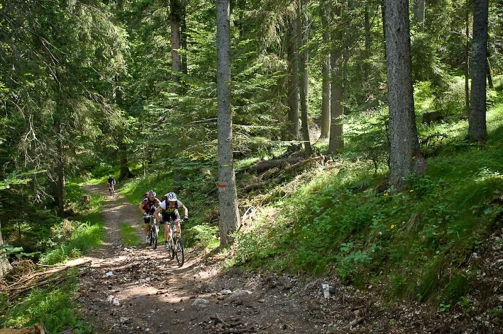 VTT Pra l'Etang (Coulmes-Royans n°34) · Presles