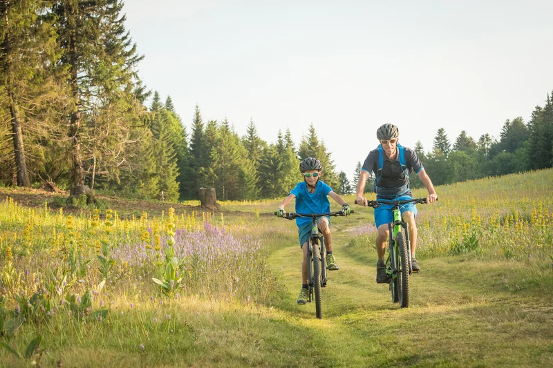 VTT Sapin Bellier (Villard-Corrençon n°48) · Villard-de-Lans