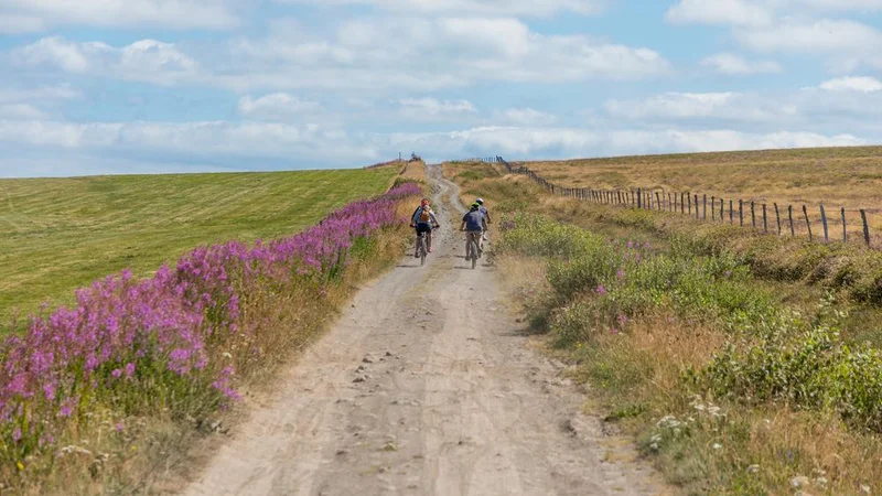 VTT Circuit VTT itinérant en 4 jours - Pays d'Issoire côté Cézallier · Issoire