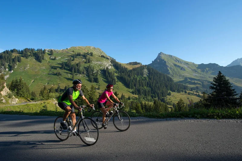 Vélo de route Boucle cyclo : Tour du Roc d'Enfer · Thonon-les-Bains