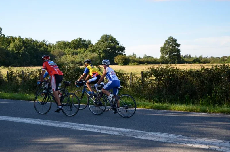 Vélo de route Balade aux marches du bocage · Couleuvre