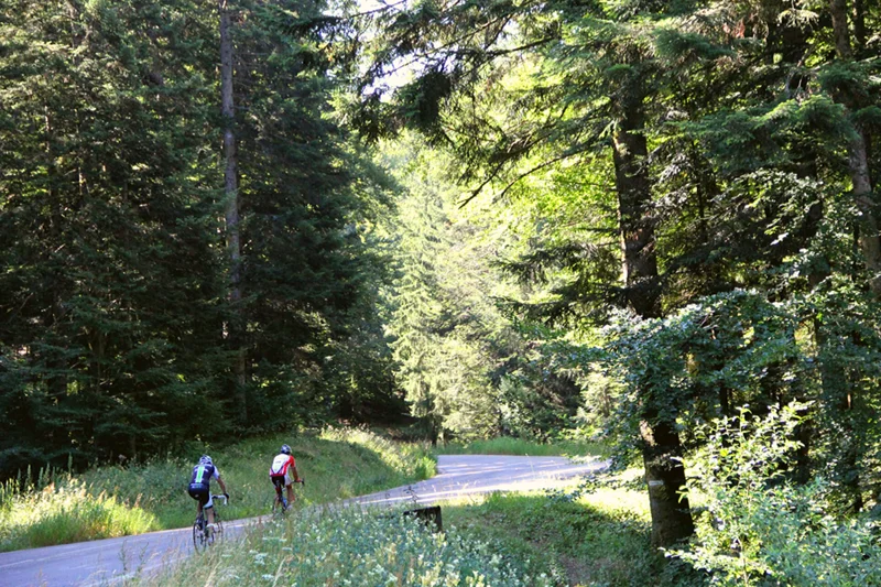 Vélo de route Col de Chamrousse · Vaulnaveys-le-Haut
