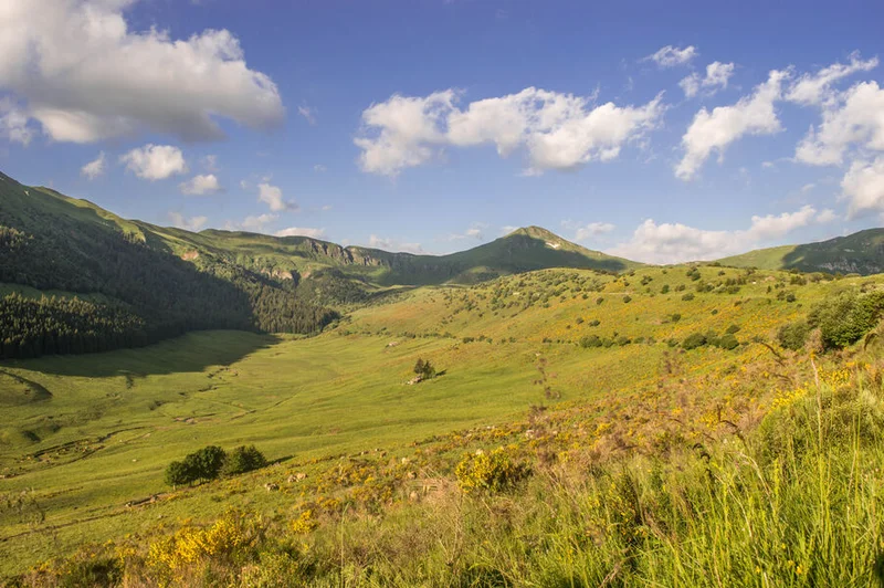 Vélo de route Cyclo. Les clarines du Puy Mary · Dienne