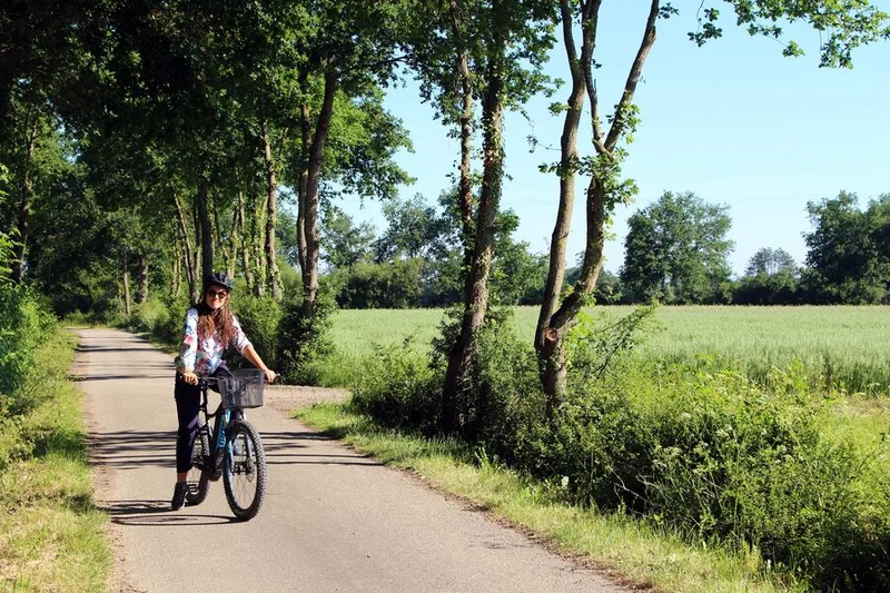 Vélo de route Boucle cyclable F8 : entre plaine et monts à vélo : Montrond-les-Bains / Saint-Cyr-les-Vignes · Montrond-les-Bains
