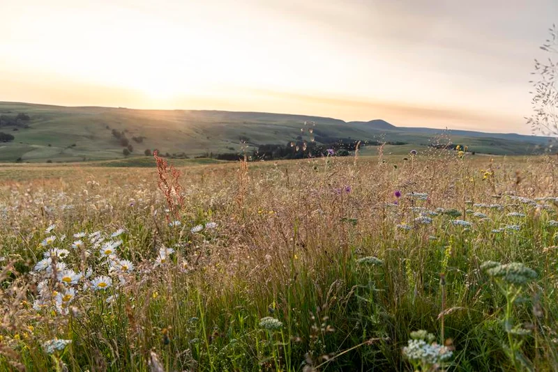 Vélo de route Le Haut Cantal - Cyclo · Condat