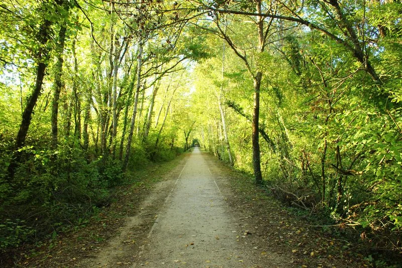 Vélo de route Voie verte : Gex-Divonne, par l'ancienne voie ferrée · Gex