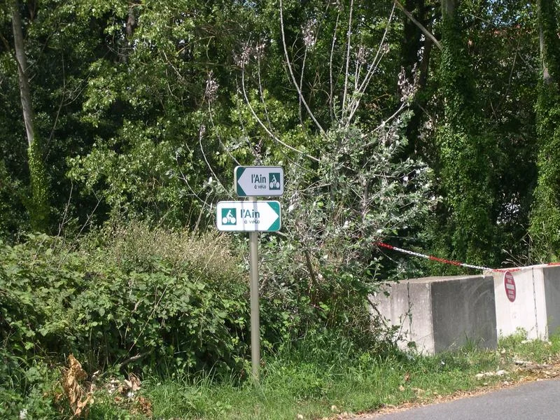 Vélo de route Itinérance L'Ain à Vélo - Entre Bresse & Dombes (2 jours) · Thoissey