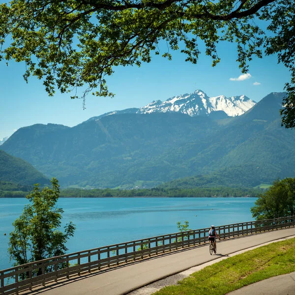 Vélo de route Tour des Bauges à vélo - Lac d'Annecy - De Doussard à Annecy · Doussard